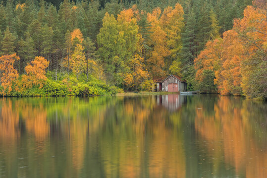 autumn on Loch farr. colourfull autumn colours on a remote loch/lake in the Scottish highlands, reflection of colours on the water.