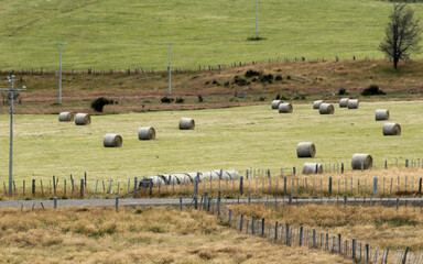 Rollos de campo en el pasto.