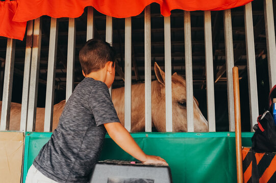 Boy Petting Horse At Fair.