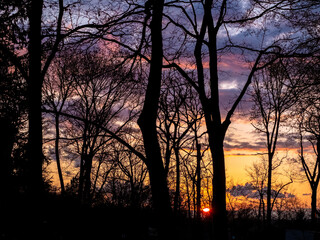 orange pink purple sunset in the forest in the spring