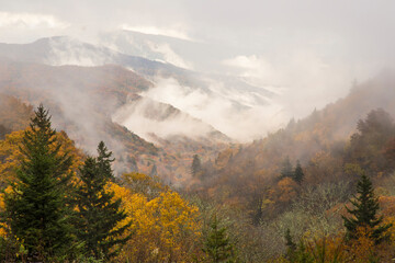 USA, North Carolina, Great Smoky Mountains. Autumn mountain landscape.
