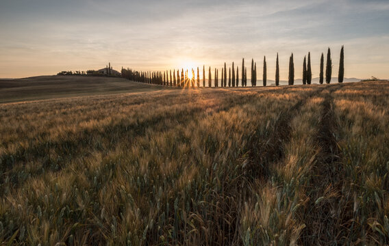 Tuscany Landescape
