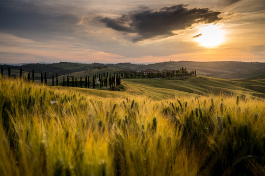 Tuscany Landescape