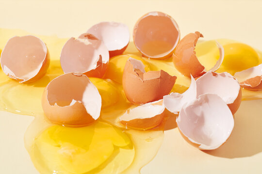 Eggs with Broken Shells