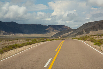 Ruta 40. La ruta recorre el centro de esta provincia en sentido sudoeste a noreste. Recorrido: 275 km (del km 4004 al 4279).
