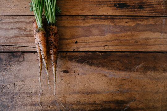 Three newly dug baby carrots on wood background