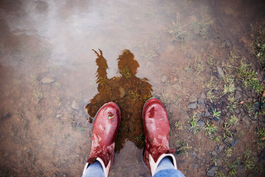 shadow in a puddle