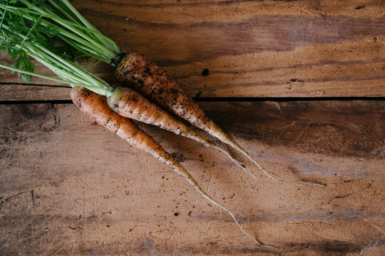 Three newly dug baby carrots on wood background