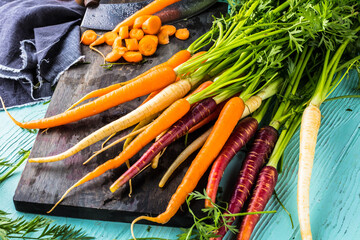 Bunch of freshly picked rainbow carrots 