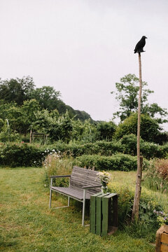 Wooden Bench With Scarecrow In The Garden