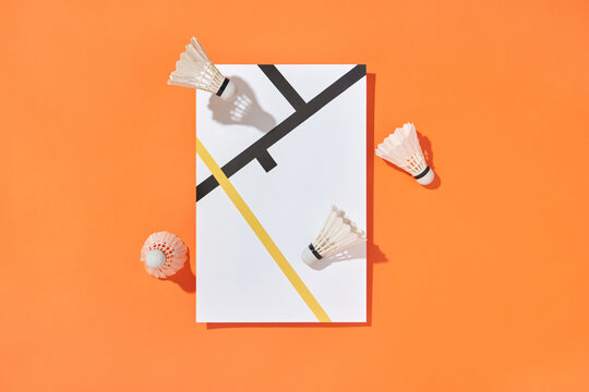 Badminton shuttlecocks from feathers on a marked card.