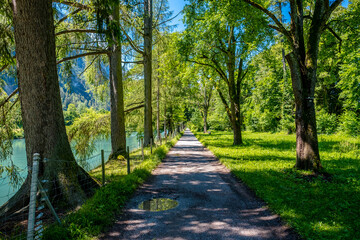 Footpath with trees and river - Interlaken, Switzerland