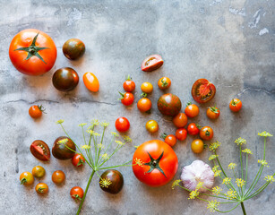 Fresh Tomatoes from the garden