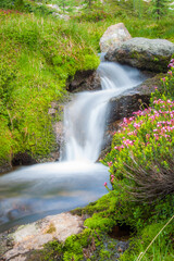 Timeless Cascading Water, Bitterroot Wilderness, Montana