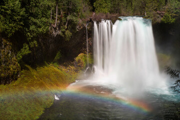 Fototapeta na wymiar USA, Oregon. McKenzie River forms Koosah Falls.