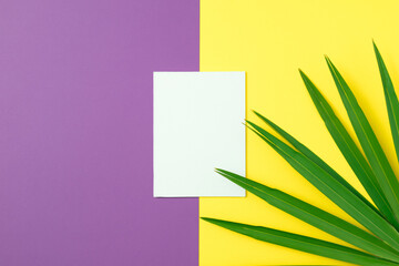 Tropical palm against purple and yellow paper background with copy space. Minimal flatlay summer composition.