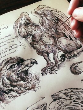 Griffins ink book illustration
