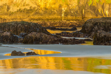 USA, Oregon, Bandon Beach. Sunrise reflection on beach.