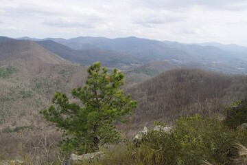 Scenic view of beautiful landscape from the top of Bell mountain in Georgia