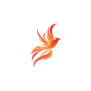 Flying Phoenix Fire Bird abstract Logo design vector template. Dove Eagle Logotype concept icon.