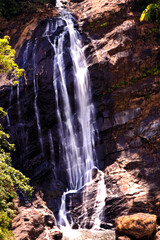 Deep forest waterfall stream view. Forest waterfall creek