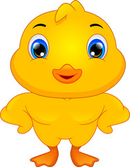 cute little duck cartoon on white background