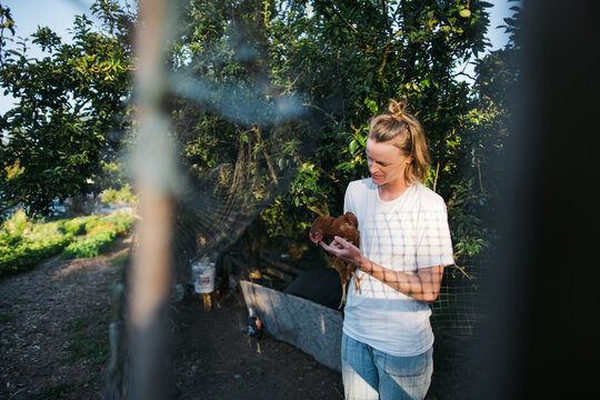 Woman spending time with laying chickens on farm