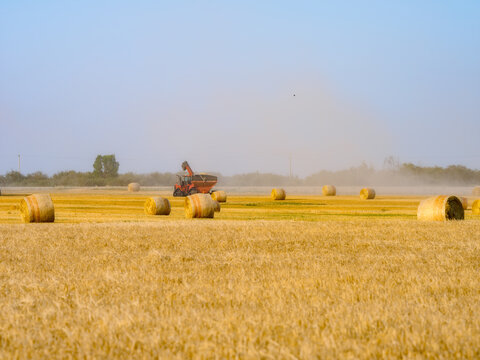 combine harvester working on wheat field
