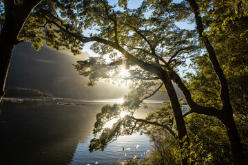 Milford Sound