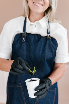 Crop gardener uprooting succulent from cup