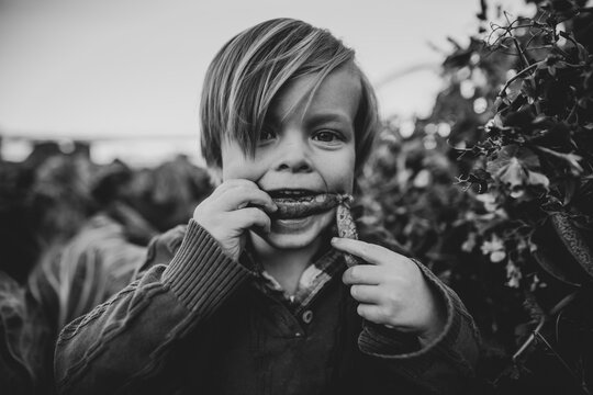 little boy in a vegetable patch
