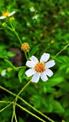 Processed with VSCO with  preset