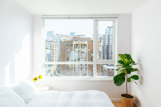 Minimalist bedroom with bed and house plant
