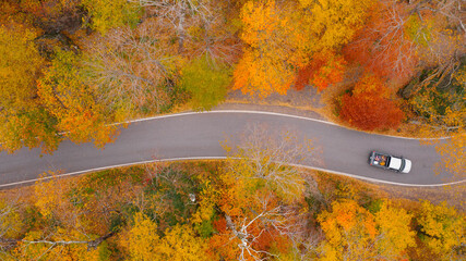 Car Driving in Fall Foliage