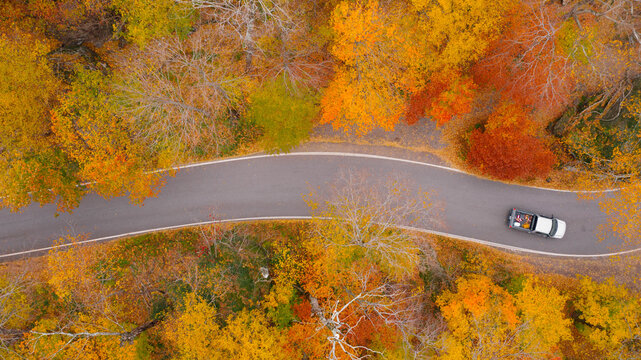 Car Driving in Fall Foliage
