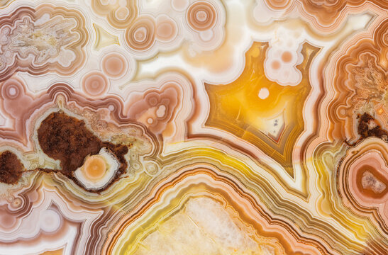 Crazy Lace Agate Background