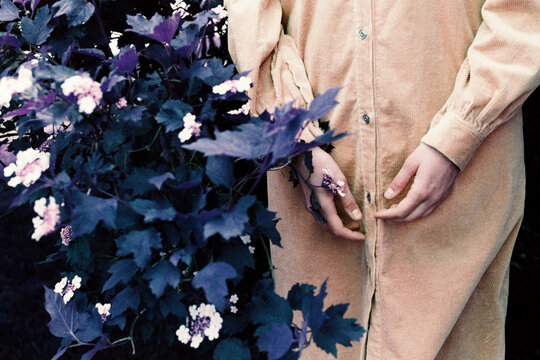Woman's hands and plant