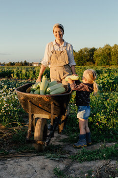 Positive farmer with little kid harvesting squashes in field