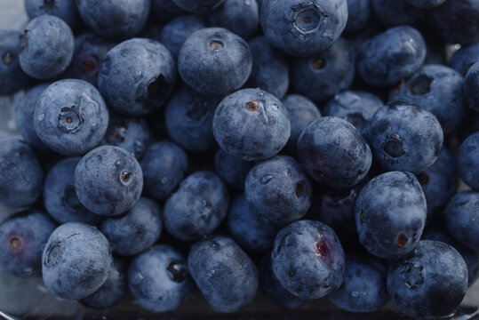 Fresh blueberries