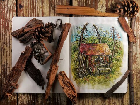 Wooden hut