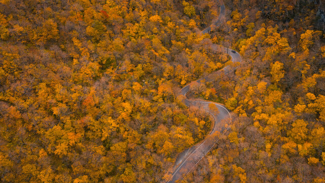 Car Driving in Fall Foliage