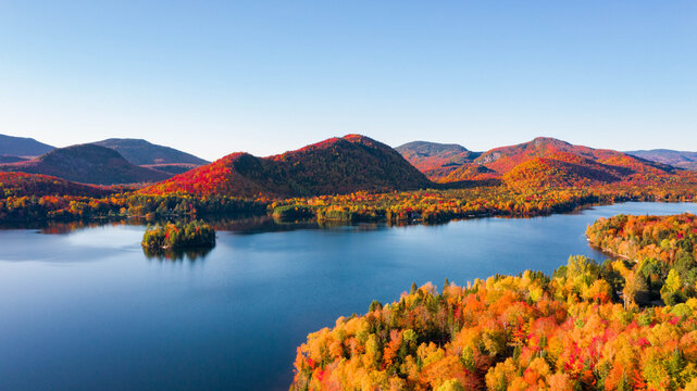 Aerial View of Fall Foliage