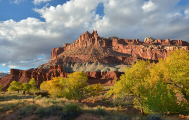 a beautiful autumn scene in capitol reef national park, utah,  of the castle rock formation, changing cottonwood trees, and the fremont river