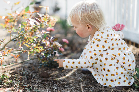 Little girl counting roses