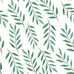 Fototapeta premium floral collage of branches with leaves
