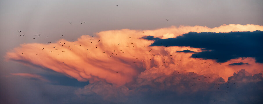 Dramatic clouds and birds silhouettes