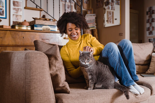 Black woman playing with the cat, inside her house. Lifestyle images.