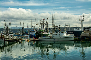 Fishing boats, docked, Newport Bay, Newport, Oregon, USA