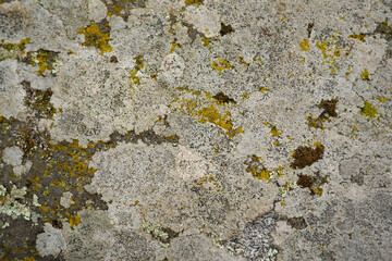 Granite stone covered with moss as a background.