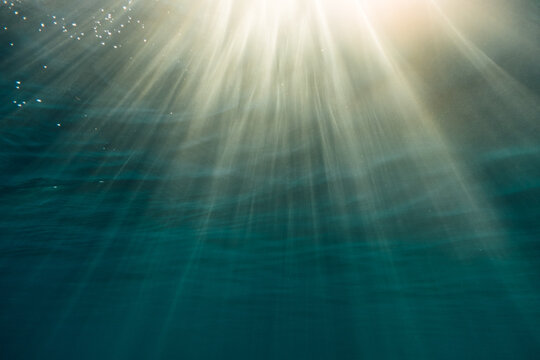 Underwater surface of the sea - Powered by Adobe